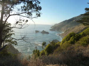 The Magic of Big Sur. Worth the headache & drugs. 